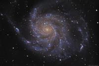 M101 (acquisition by Jim Misti and processed by Louie Atalasidis