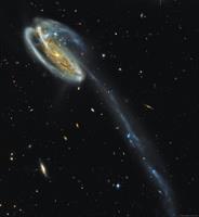 Tadpole Galaxy (Hubble Archives and prossed by Louie Atalasidis
