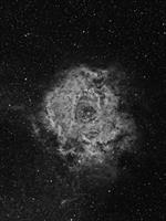 NGC 2244 (The Rosette in Ha)